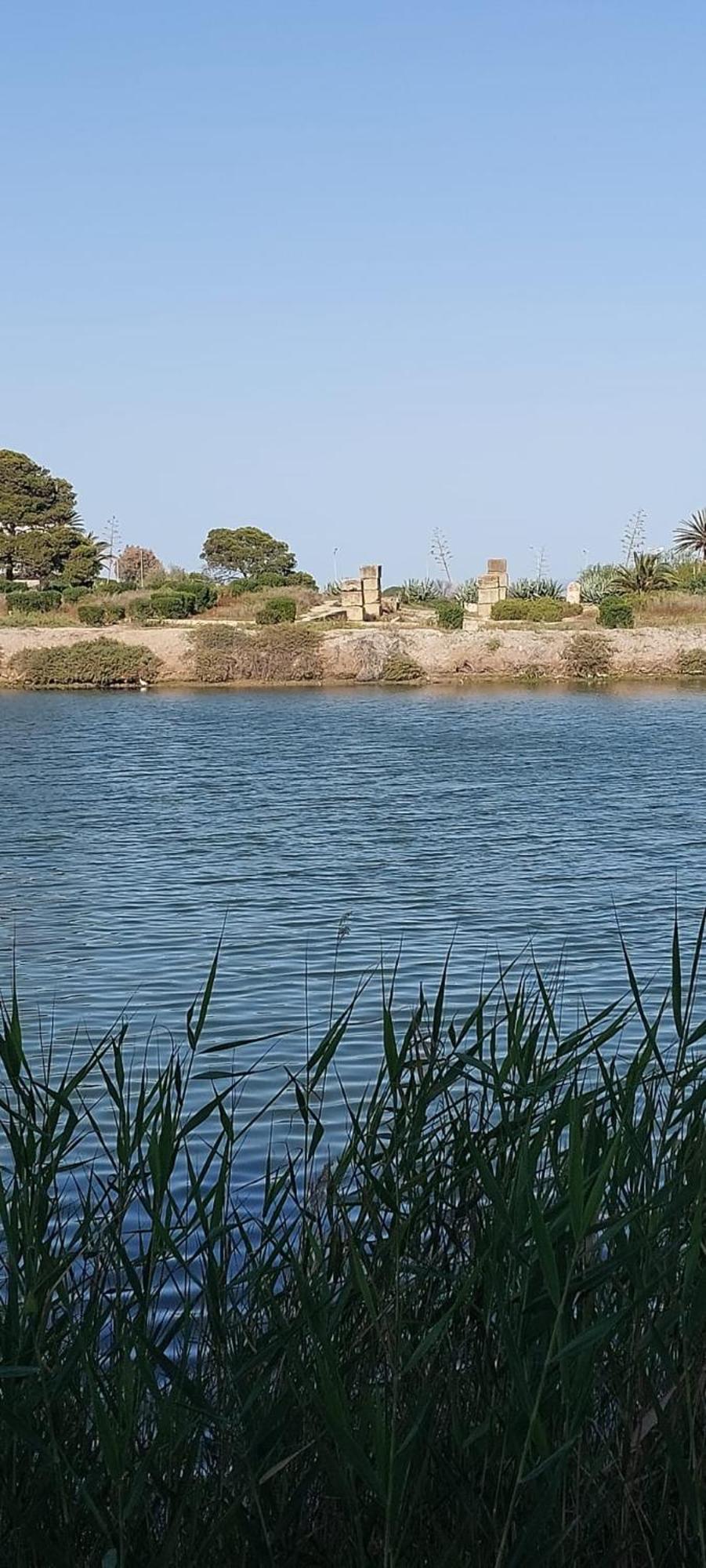 "L'Abri Cotier" Appartement 3 Chambres Haut Standing Port Punique Carthage Douar ech Chott エクステリア 写真